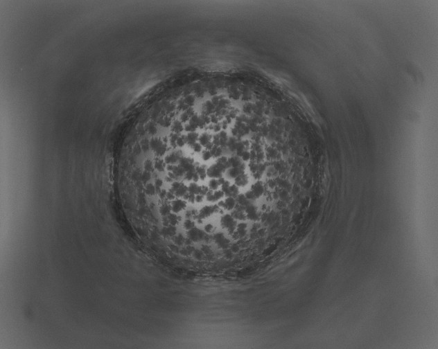 X0000116571301200912241627