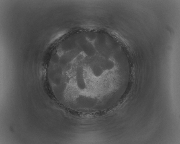 X0000116571302200912241627