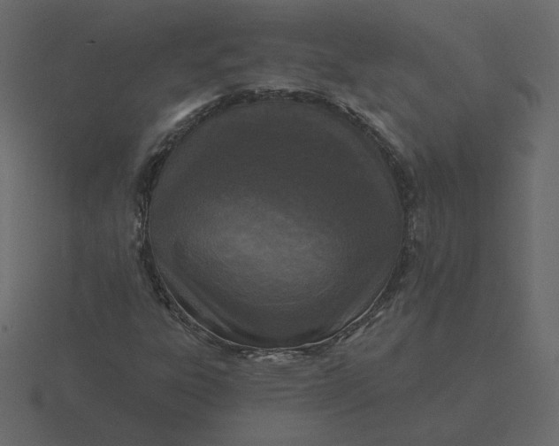 X0000116571303200912241627