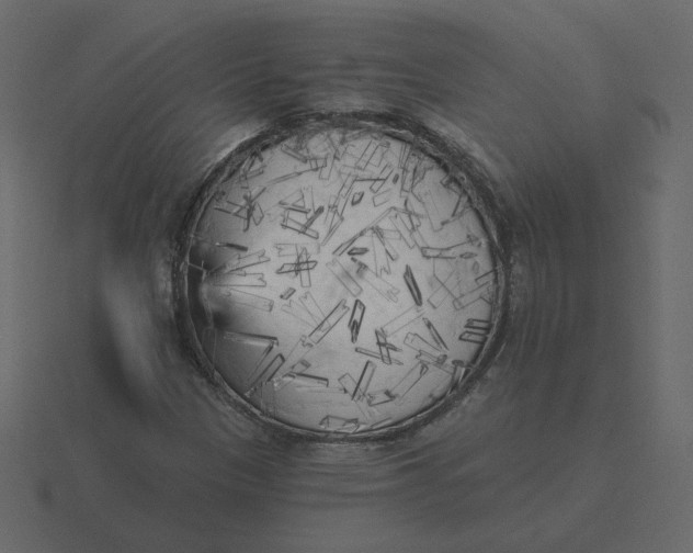 X0000116571305200912241627