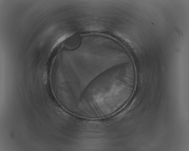 X0000116571306200912241627