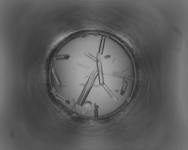 X0000116571311200912241627