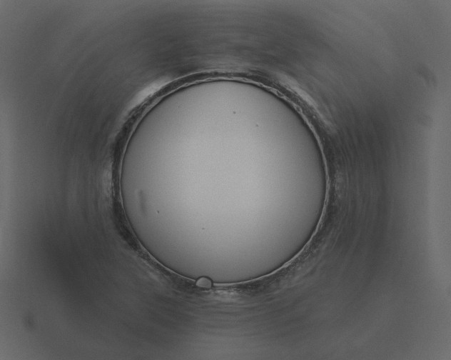 X0000116571315200912241627