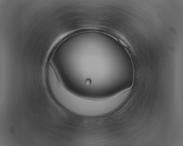 X0000116571323200912241627