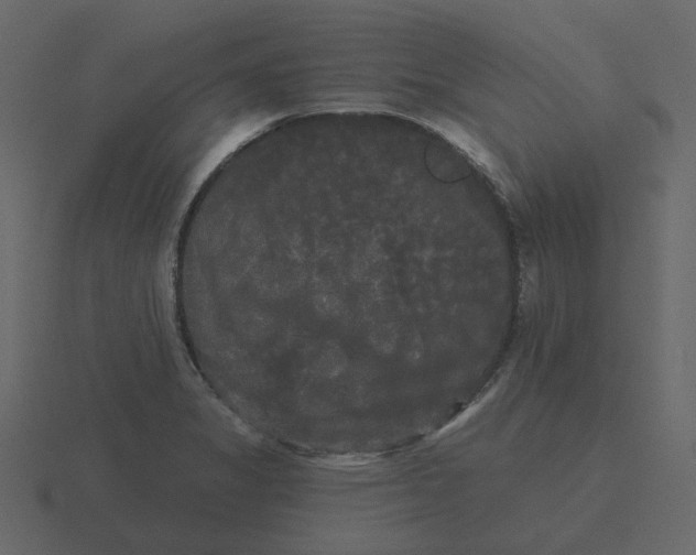 X0000116571325200912241627