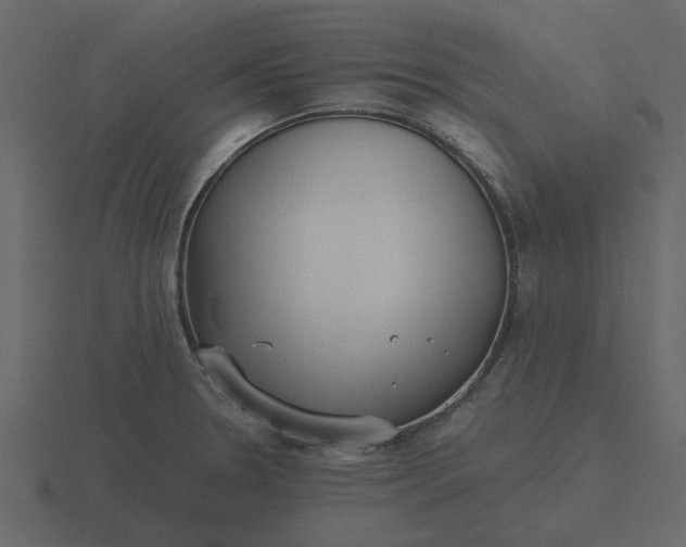 X0000116571330200912241627