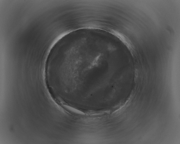 X0000116571331200912241627