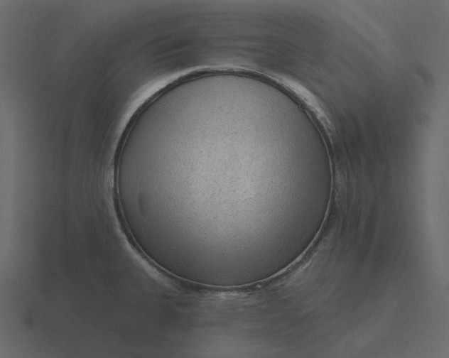 X0000116571335200912241627