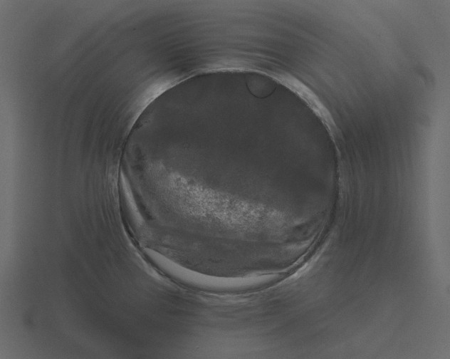 X0000116571337200912241627