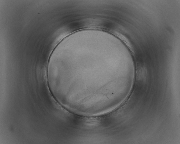 X0000116571338200912241627