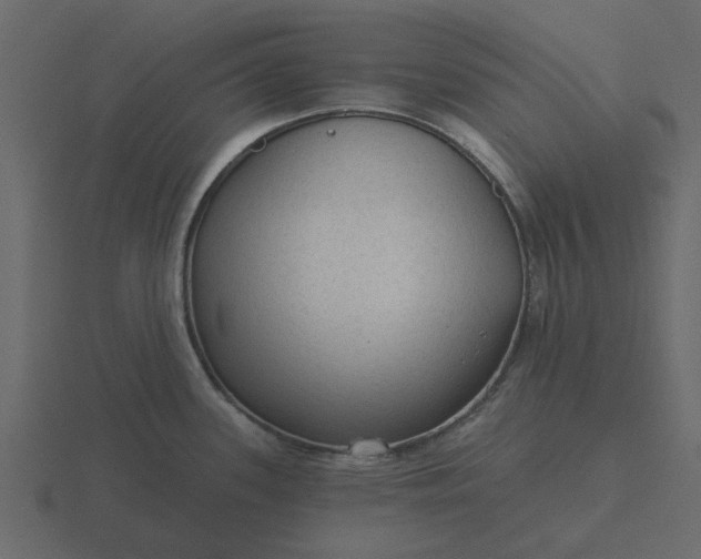 X0000116571339200912241627