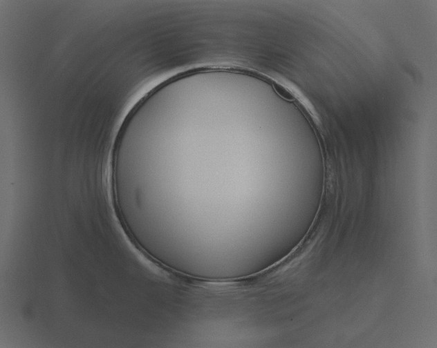 X0000116571343200912241627