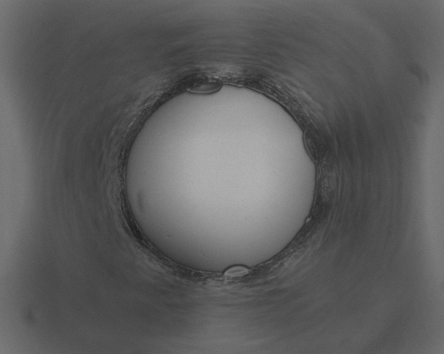 X0000116571345200912241626