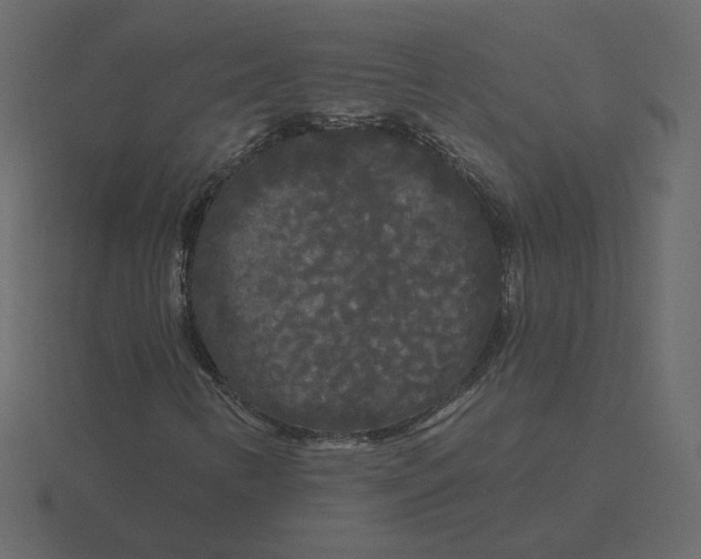 X0000116571346200912241626