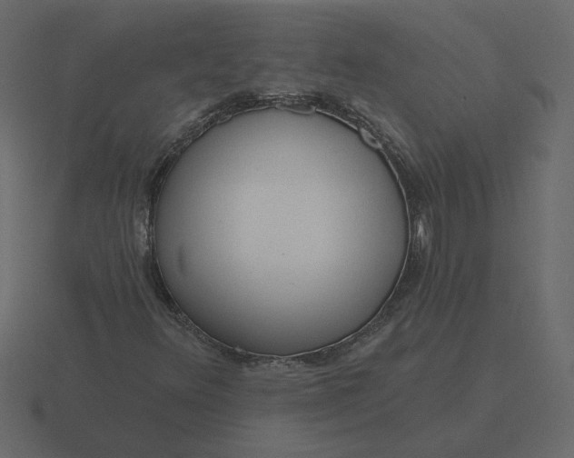 X0000116571348200912241626