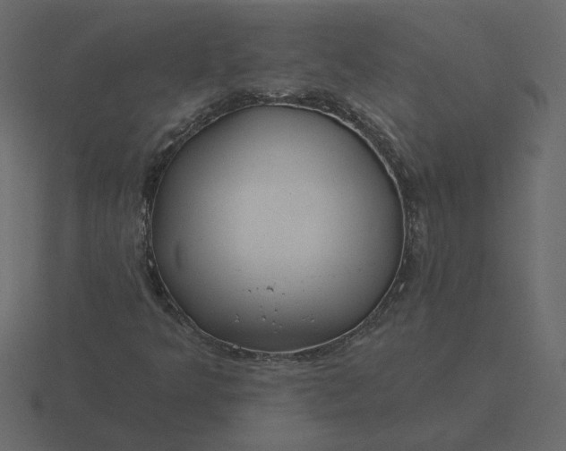 X0000116571349200912241626