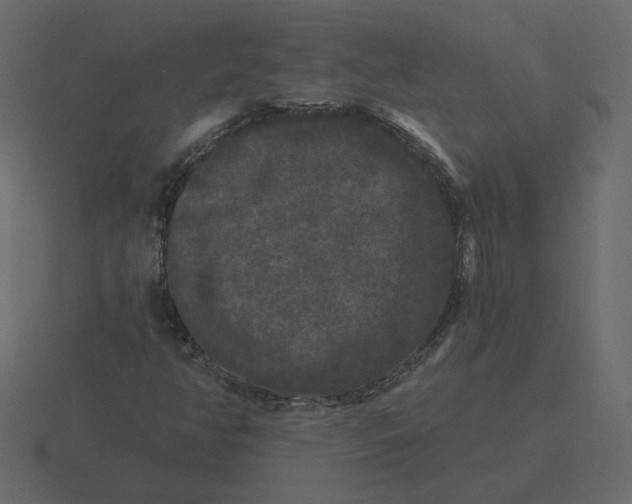 X0000116571350200912241626