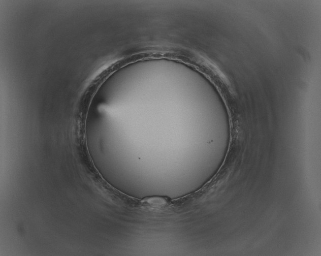 X0000116571352200912241626