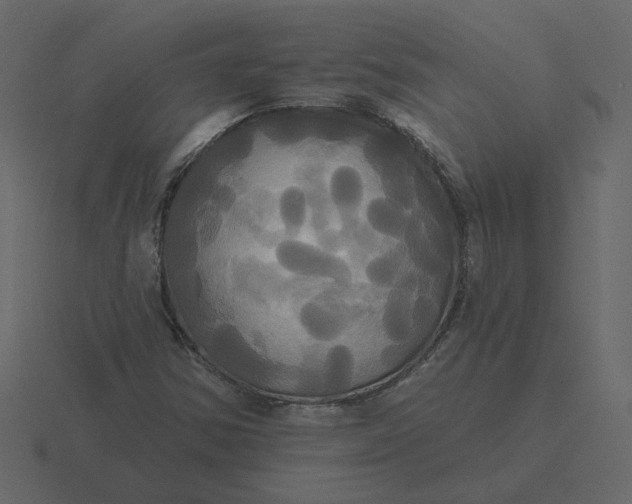 X0000116571354200912241626