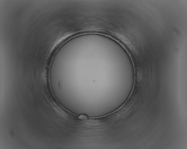 X0000116571356200912241626