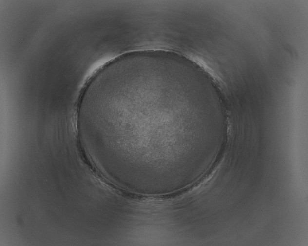 X0000116571358200912241626