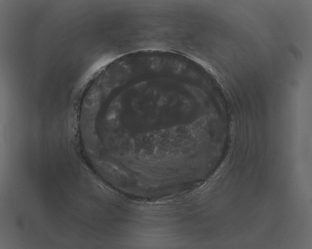 X0000116571359200912241626