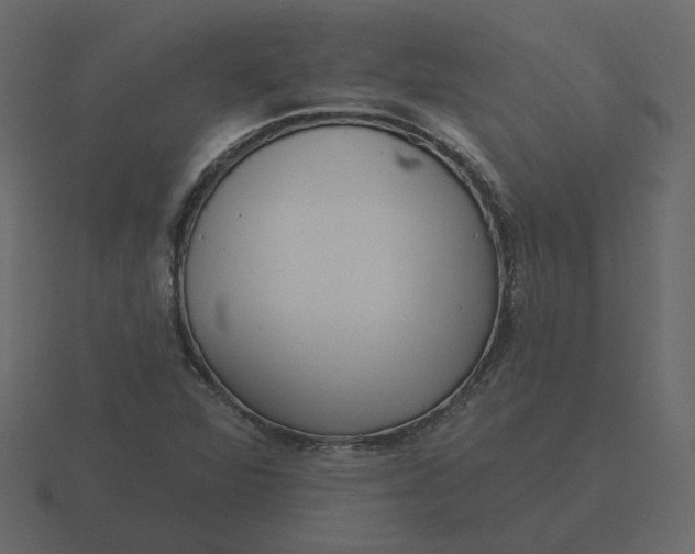 X0000116571360200912241626