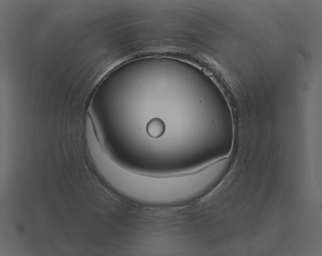 X0000116571361200912241626