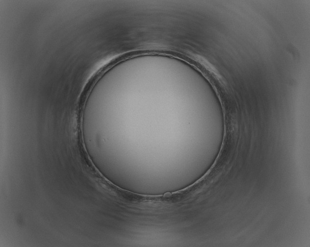 X0000116571364200912241626