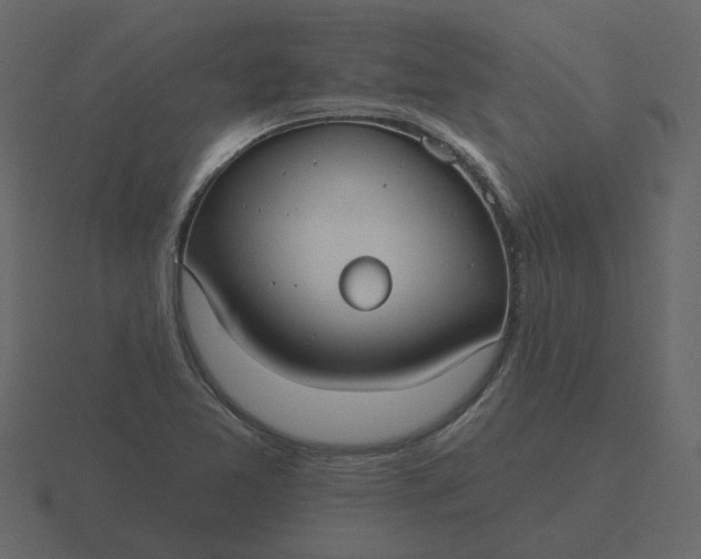 X0000116571365200912241626