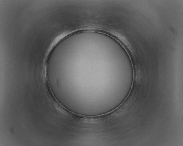 X0000116571366200912241626