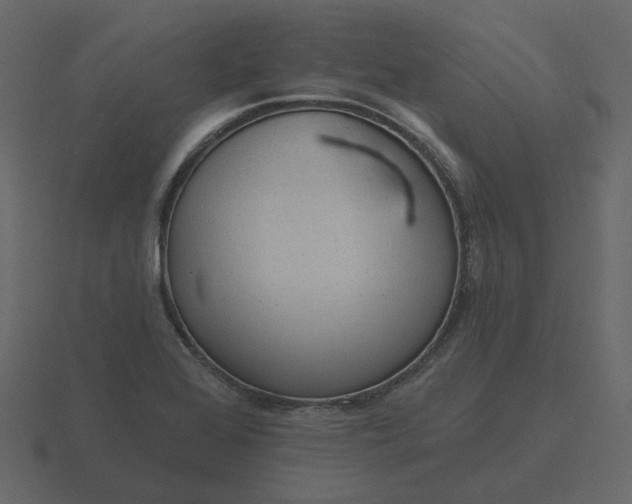 X0000116571368200912241626