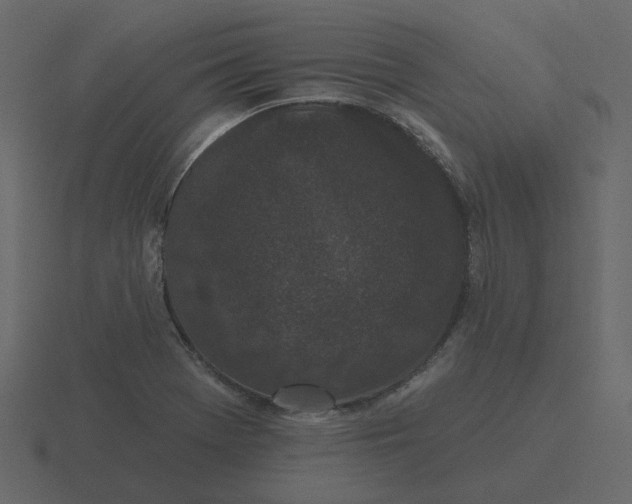 X0000116571369200912241626