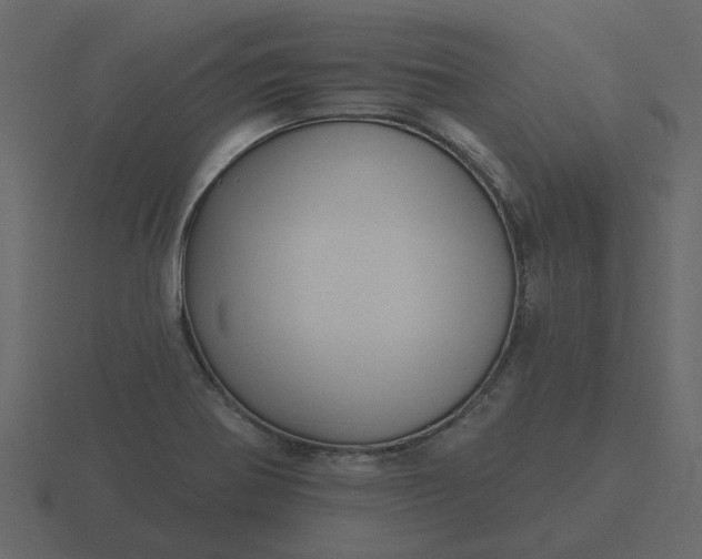 X0000116571370200912241626