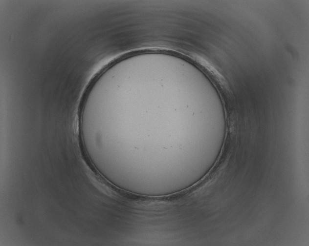 X0000116571372200912241626