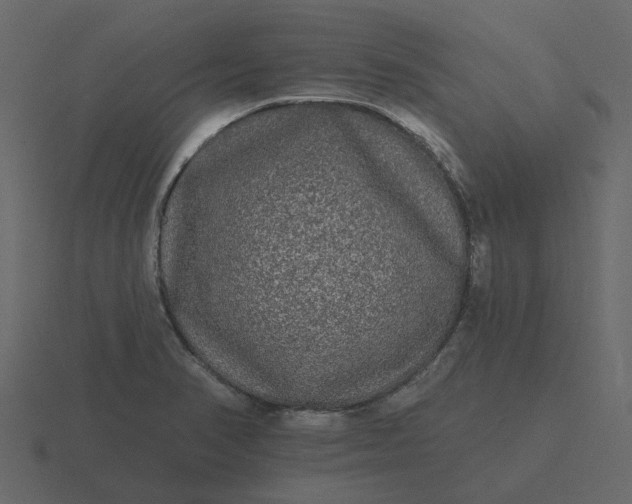 X0000116571374200912241626