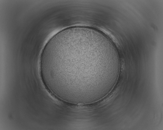 X0000116571375200912241626