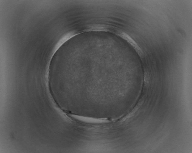 X0000116571378200912241626