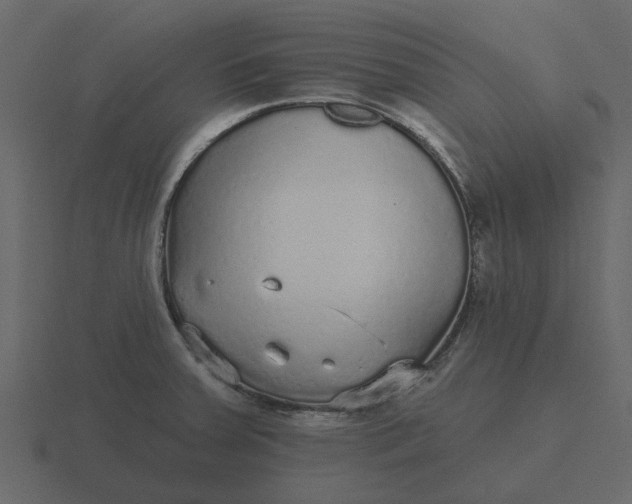 X0000116571379200912241626