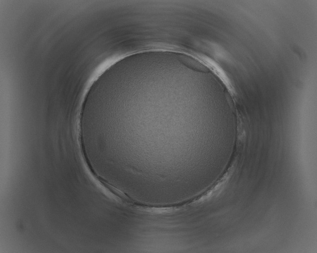 X0000116571381200912241626