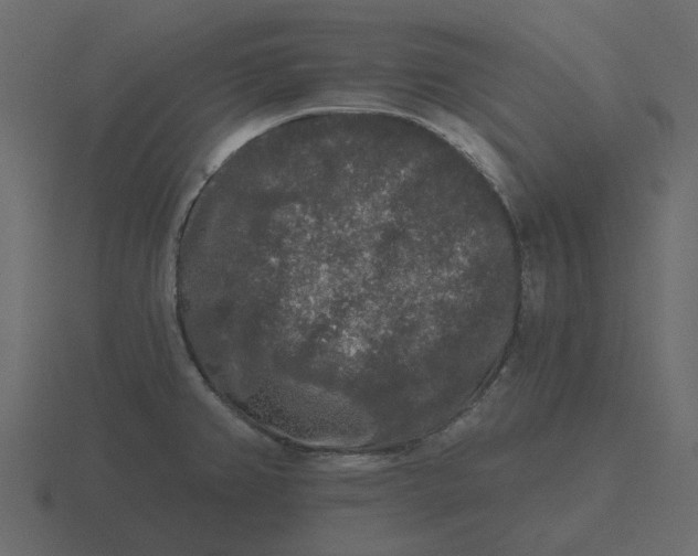 X0000116571382200912241626