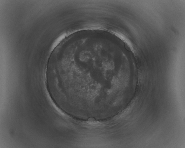 X0000116571383200912241626