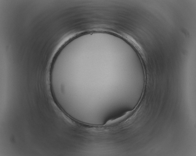 X0000116571384200912241626