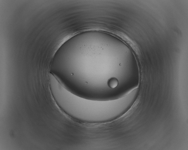 X0000116571385200912241626