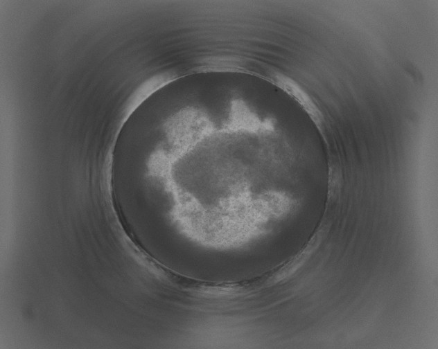 X0000116571386200912241626