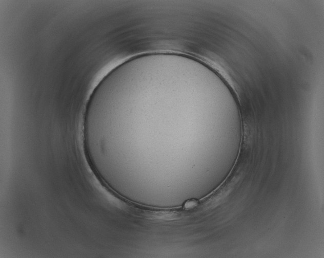 X0000116571387200912241626