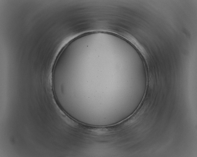 X0000116571388200912241626