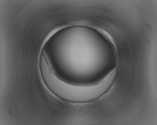 X0000116571389200912241626