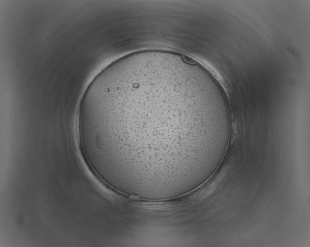 X0000116571391200912241626