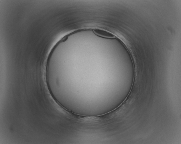 X0000116571392200912241626